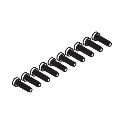 Special pan head screws, 6x22 mm, set of 10 pieces